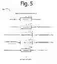 Fig. 09 - Multi-dimensional behavior device ID