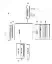 Fig. 02 - METHOD FOR PROVIDING APPLICATION INFORMATION AND MOBILE TERMINAL THEREOF