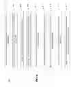 Fig. 13 - METHOD AND SYSTEM FOR SHARING AND DISTRIBUTING CONTENT DURING A CONSUMER EXPERIENCE