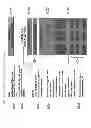Fig. 40 - SYSTEM AND METHOD FOR MANAGEMENT OF INTANGIBLE ASSETS