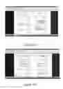 Fig. 86 - DATABASE FOR RISK DATA PROCESSING