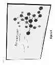 Fig. 05 - HUMAN THREADING SEARCH ENGINE
