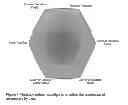 Fig. 05 - Systems and methods for graphical search interface