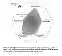 Fig. 07 - Systems and methods for graphical search interface