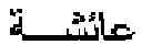 Fig. 50 - Method for retrieval of arabic historical manuscripts