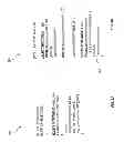 Fig. 09 - Advanced business query language