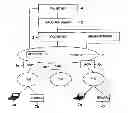 Fig. 01 - Communication System, Application Server and Communication Method for Server Cooperation