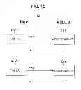 Fig. 15 - Transmission device, transmission method, reception device, reception method, program, stream transmission and reception system, and electronic apparatus