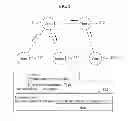 Fig. 06 - Methods and apparatuses for a network based on hierarchical name structure