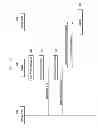 Fig. 07 - Application execution method and apparatus