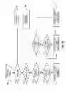 Fig. 03 - Aliasing of named data objects and named graphs for named data networks