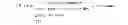 Fig. 02 - Virtual address cache memory, processor and multiprocessor