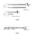 Fig. 07 - Consistency of data in persistent memory