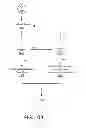 Fig. 12 - Adaptive moving read references for memory cells