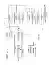 Fig. 16 - Talk Tags