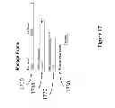 Fig. 18 - Context dependent application/event activation for people with various cognitive ability levels