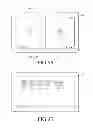 Fig. 11 - Display device for executing a plurality of applications and method for controlling the same