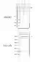 Fig. 28 - Display device for executing a plurality of applications and method for controlling the same