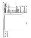 Fig. 06 - CUSTOMIZABLE DATA VISUALIZATION