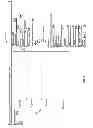 Fig. 07 - CUSTOMIZABLE DATA VISUALIZATION