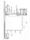 Fig. 09 - CUSTOMIZABLE DATA VISUALIZATION
