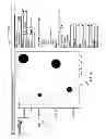 Fig. 12 - CUSTOMIZABLE DATA VISUALIZATION
