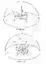 Fig. 10 - HAND-HELD PERSONAL PLANETARIUM