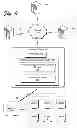Fig. 04 - Predictive directional content queue
