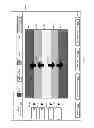 Fig. 09 - GRAPHICAL REPRESENTATION OF THRESHOLD OPERATIONS
