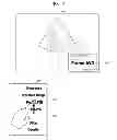 Fig. 08 - Ultrasound apparatus and method of inputting information into the same