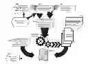 Fig. 01 - Test script generation for application image validation
