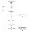Fig. 01 - Shared resource segmentation