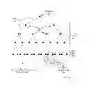Fig. 07 - Executing a collective operation algorithm in a parallel computer