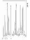 Fig. 08 - Detection of vulnerabilities in computer systems