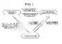 Fig. 02 - EQUIPMENT-INFORMATION TRANSMITTING APPARATUS, SERVICE CONTROL APPARATUS, EQUIPMENT-INFORMATION TRANSMITTING METHOD, AND COMPUTER PRODUCTS