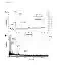 Fig. 09 - POLYSACCHARIDE SYNTHASES (H)