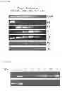 Fig. 29 - POLYSACCHARIDE SYNTHASES (H)