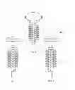 Fig. 02 - Apparatus For Capturing And Removing Hair From A Drain