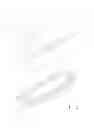 Fig. 02 - Cleaning device