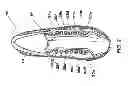 Fig. 03 - DISPLAY LACES