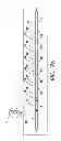 Fig. 07 - DISPLAY LACES