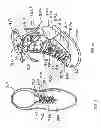 Fig. 17 - DISPLAY LACES