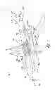 Fig. 02 - Splice joints for composite aircraft fuselages and other structures