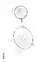 Fig. 02 - SELF-CENTERING SEAL