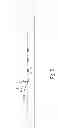 Fig. 09 - HEAT-DISSIPATION UNIT AND METHOD OF MANUFACTURING SAME