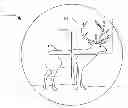 Fig. 01 - Optical device configured to determine a prey score of antlered prey