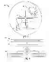 Fig. 03 - Optical device configured to determine a prey score of antlered prey