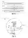 Fig. 07 - Optical device configured to determine a prey score of antlered prey