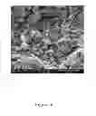 Fig. 26 - Treated brine compositions with reduced concentrations of potassium, rubidium, and cesium