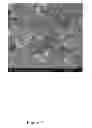Fig. 31 - Treated brine compositions with reduced concentrations of potassium, rubidium, and cesium